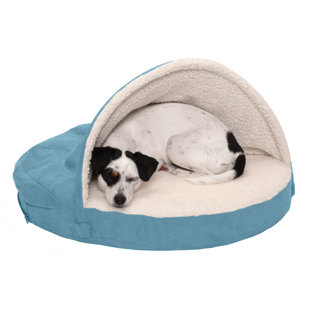 Blue Dog Beds You'll Love in 2023 - Wayfair